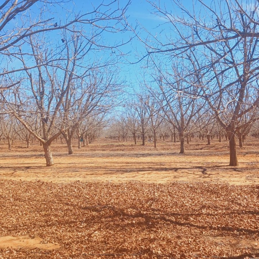  Bedroom Property for Sale in Hartswater Rural Northern Cape